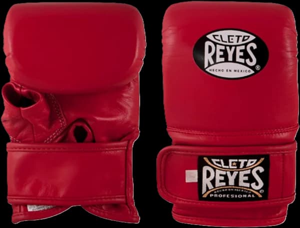Cleto Reyes bag gloves with hook and loop closure