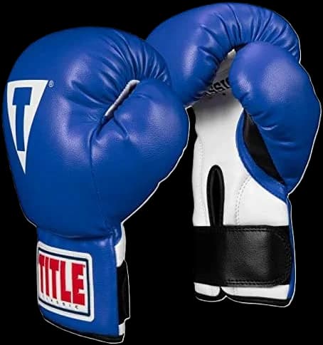 TITLE Classic Kid and Youth Boxing Gloves 2.0