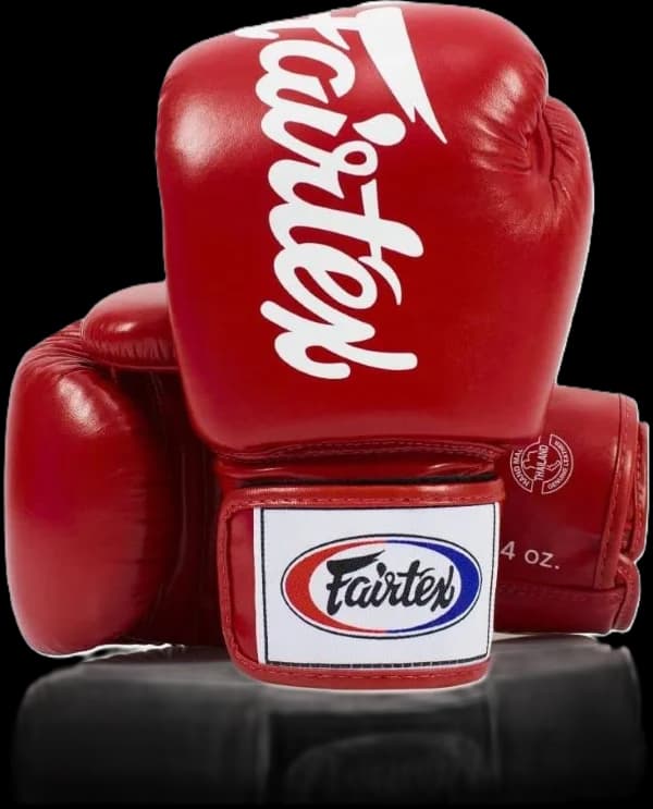 Fairtex BGV19 Deluxe Tight-Fit Boxing Gloves