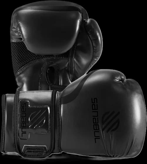 Sanabul essential boxing gloves